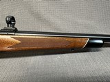 Winchester Model 70 Varmint (1977)
.222 Rem. - 4 of 15