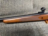 Winchester Model 70A
300 Win. Mag. - 8 of 15