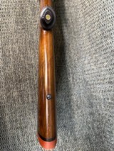 RUGER 1-B Pre-Warning22-250 - 12 of 14