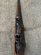 COLT- SAUER300 Win. Mag. - 12 of 15