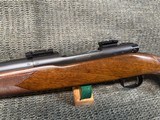 WINCHESTER 70 Pre-64 (1960)
264 Win Mag. - 8 of 15