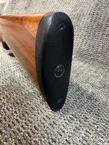 Ruger M77 MK-IIStock - 12 of 12