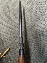 WINCHESTER '71Standard.348 WCF. - 15 of 15