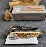 Case XX 00052, Hobo Amber Jigged Bone Handle 6354HB SS New, Never Used or Carried - Image 3 of 4