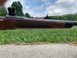 Mauser M98 Standard 7x57 - 10 of 15
