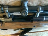 Ruger M77 375 H & H Magnum Express - 9 of 15