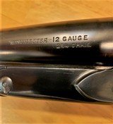 Winchester model 21, 12 Gauge Trap - 14 of 15