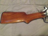 1920 Winchester 1906 Expert 22 LR pump repeater - 7 of 15