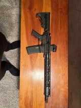 Palmetto State Armory Custom .223 rifle - 3 of 4
