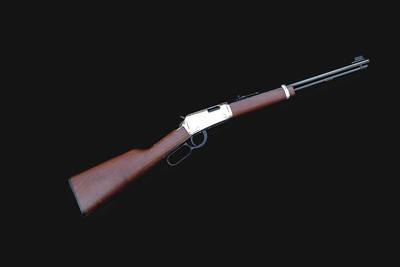 Henry Classic Lever Action .22 LR 25th Anniversary Edition - H001-25