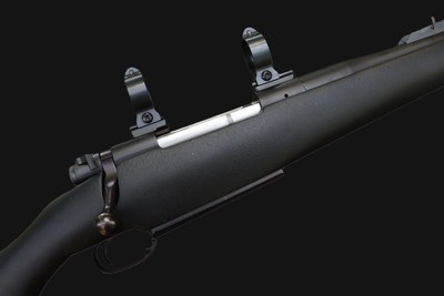 Dakota Model 76 Professional Hunter .416 Rigby w/Talley 30mm Rings - Image 6 of 17