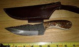 Custom stag knife - 3 of 5