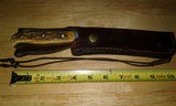 Puma stag handle knife - 6 of 8