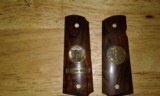 Belleau Woods 1911 grips - 1 of 2