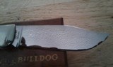 Case Bull Dog knife - 4 of 7