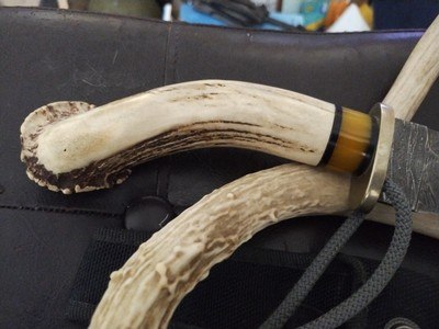 Crown stag Damascus hunting knife - Image 4 of 5