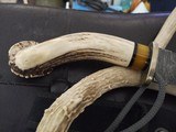 Crown stag Damascus hunting knife - Image 4 of 5