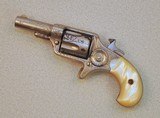 Colt New Line Factory Engraved SA Revolver - 6 of 7