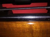 Weatherby Vanguard
257 Wby. Mag - 10 of 12