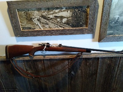 Springfield 03 Sporter