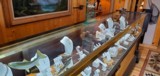 FINE GUN and JEWELRY STORE in the Rocky Mountains - 17 of 20