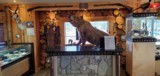 FINE GUN and JEWELRY STORE in the Rocky Mountains - 6 of 20