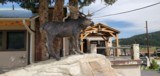 FINE GUN and JEWELRY STORE in the Rocky Mountains - 13 of 20