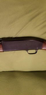 WINCHESTERMODEL 50SEMI-AUTO 12 GAUGE SKEET - 10 of 11