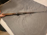 Winchester Model 54 - 4 of 9