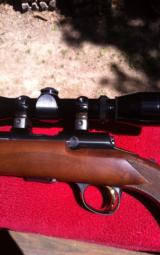 Browning T bolt 17 HMR - 5 of 9