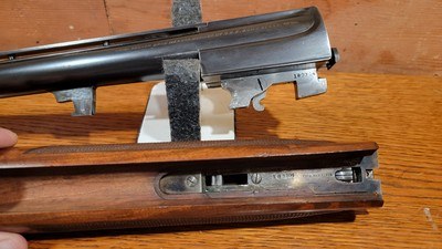 PARKER BROS SC SINGLE BARREL TRAP 12 GA ENGRAVED - Image 17 of 19