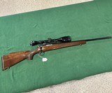 Remington Rifle Model 700 .243 Caliber Winchester Bolt Action - 1 of 1