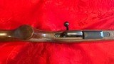 CZ 550 .243 Winchester - 13 of 15