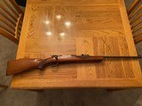 Argentine Mauser in sporter stock - 1 of 11