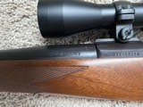 Ruger 77 Hawkeye 257 Roberts - 7 of 10