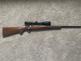 Ruger 77 Hawkeye .257 Roberts - 1 of 10