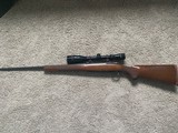 Ruger 77 Hawkeye .257 Roberts - 2 of 10