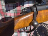 Winchester model 70 pre-64 .22 hornet - 11 of 14