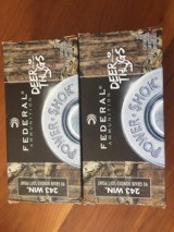 Federal 243-90gr - 1 of 2