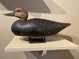 Antique Elmer Crowell black duck decoy - 1 of 8