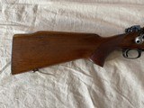 Rare Winchester pre 64 model 70 .243 STANDARD WEIGHT - 2 of 8