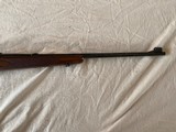 Rare Winchester pre 64 model 70 .243 STANDARD WEIGHT - 7 of 8