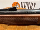 New Henry H001V Varmint Express .17HMR, 19.25