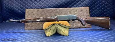 Used Remington Nylon 66 .22lr, 19.5