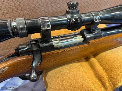 Used Ruger M77 .243win, 24