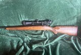 Ruger M77 7X57 Caliber With Tang Safety  Red Recoil Pad  22 “ Barrel  Nikon 3X9X40 Prostaff Scope - 2 of 9