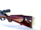 Steyr-Mannlicher, Model SL, (super light). .222 Rem. Mannlicher Stock - 3 of 13