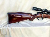 Steyr-Mannlicher, Model SL, (super light). .222 Rem. Mannlicher Stock - 5 of 13