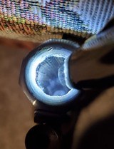 Traditions Trapper pistol, .50 cal percussion - 6 of 6