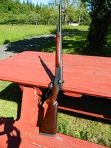 Winchester 71 converted to 450 Alaskan